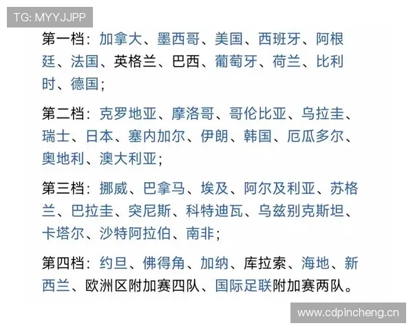 世界杯C组第二名争夺战全面解析